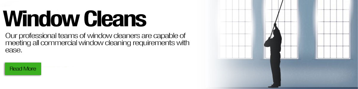 Window Cleaning Services